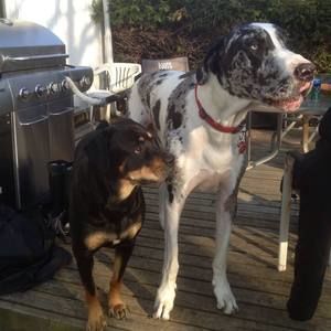 Meet your Posher, Linda d